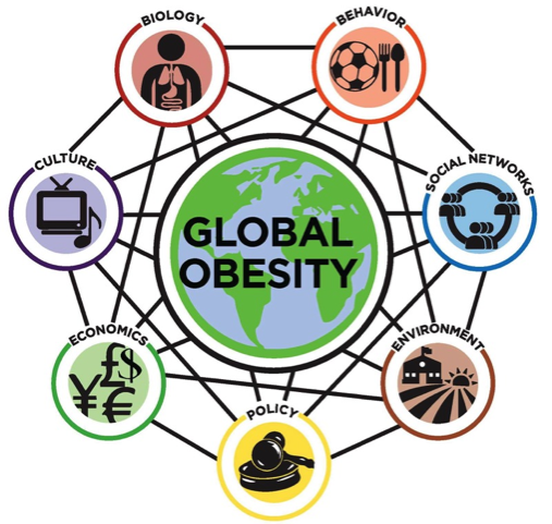 Obesity as a complex system: http://goo.gl/m2Qq13