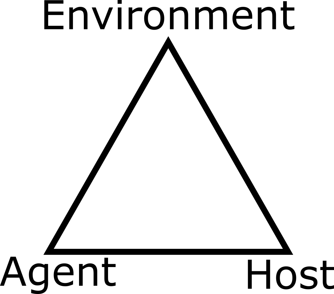 A system perspective - The epidemiological triangle