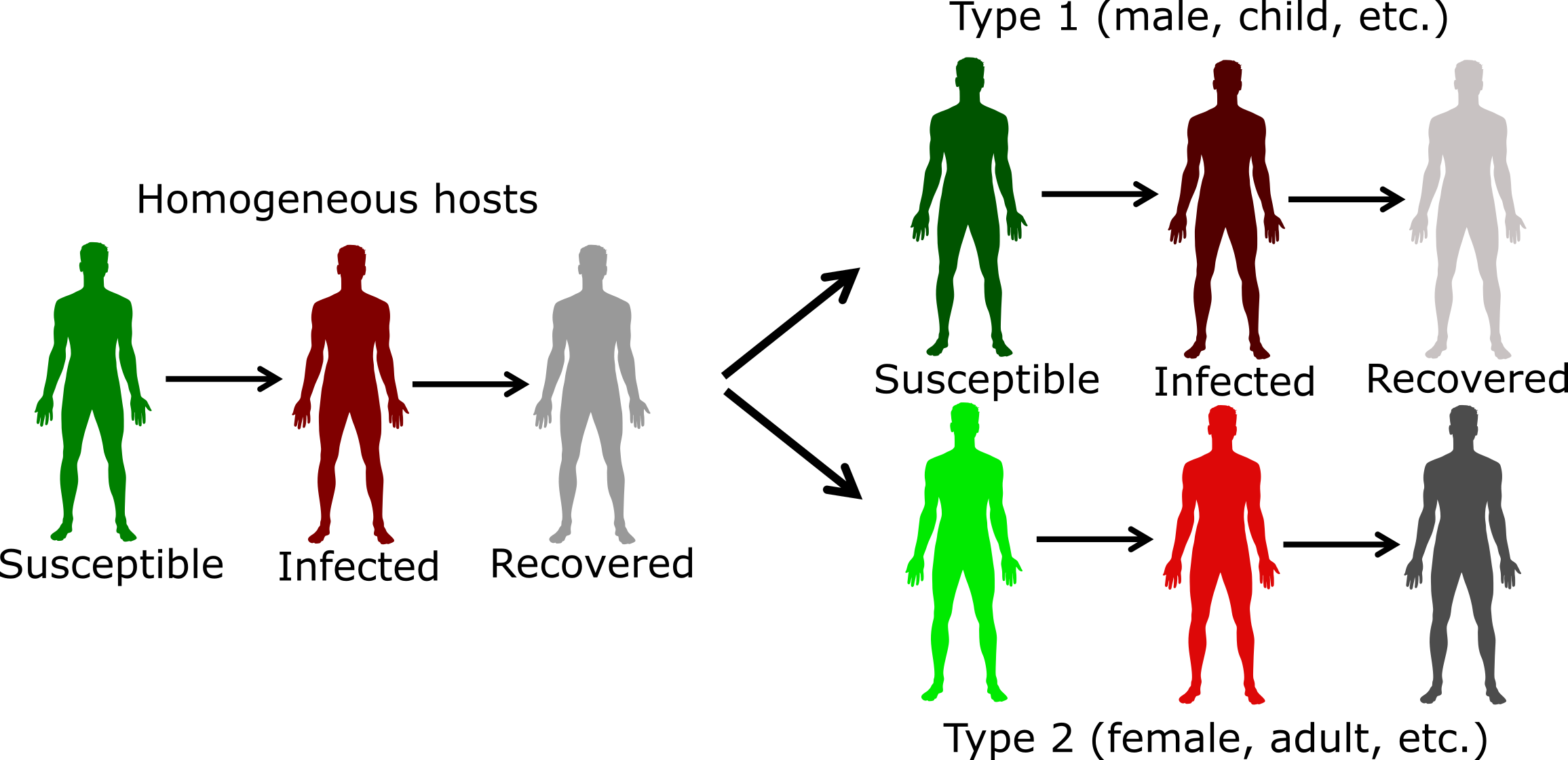 Example of including host heterogeneity in an SIR model.