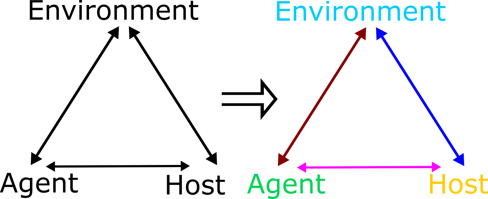 Dynamic Epidemiological Triangle. Interactions between agent, host and environment change explicitly with time - indicated by the different coloring for each component and interaction.