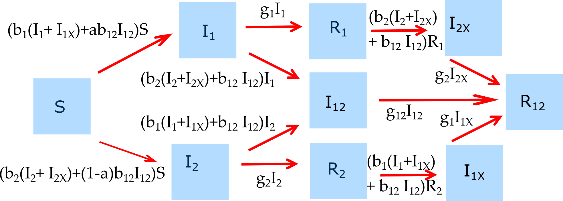Example of a model that considers 2 ID.