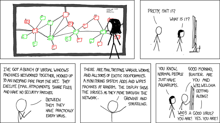 Computer viruses and human viruses are in many ways similar. [Source: xkcd.com](https://xkcd.com/350/).