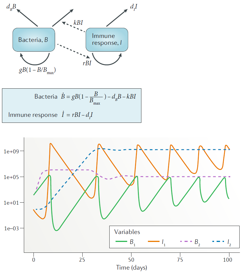 Example of a compartmental model.